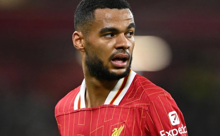 Generic placeholder image